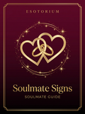 Soulmate Signs guide cover
