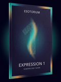 Expression Number 1 — Meaning & Talents — Esotorium cover v4